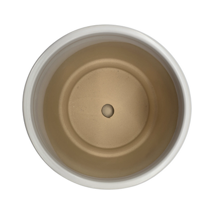 png_1500x1500_60126492