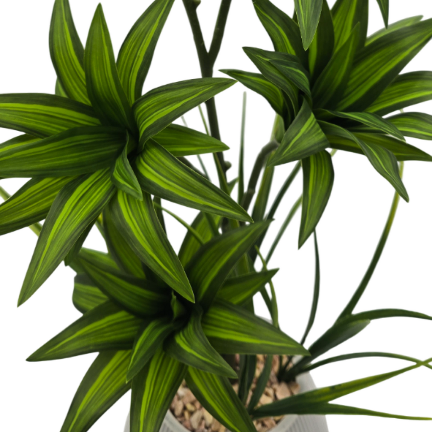 png_1500x1500_61880104
