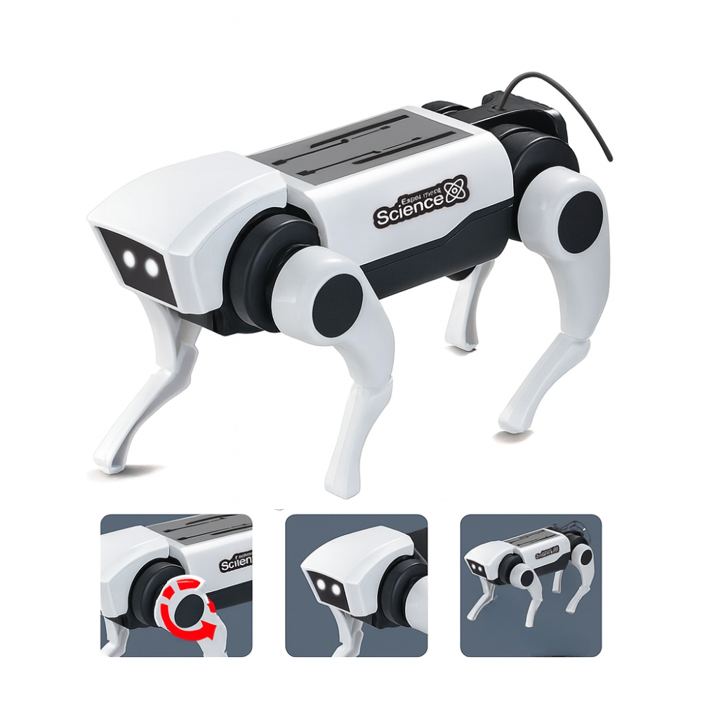Kit Arma Tu Primer Perro Robot RC a Control Remoto Juguete Infantil