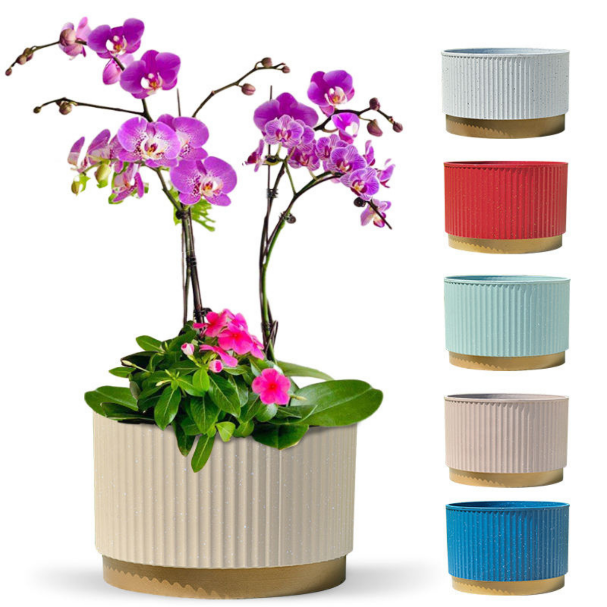 Macetero Plastico Redondo Bajo Premium Blanco Base Dorado