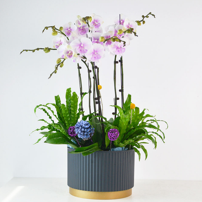 Macetero Plastico Redondo Bajo Premium Blanco Base Dorado