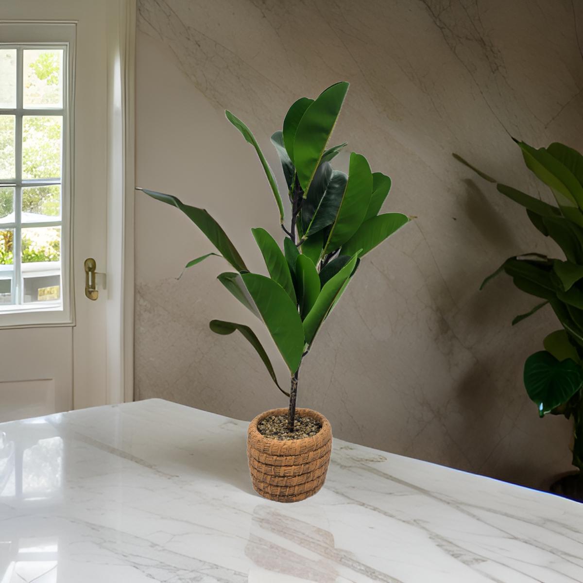 Planta Artificial Macetero De Cemento Naranjo Hojas Verdes