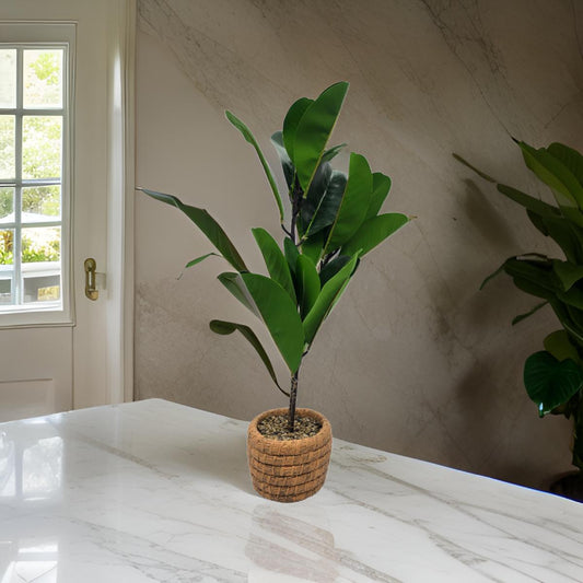 Planta Artificial Macetero De Cemento Naranjo Hojas Verdes