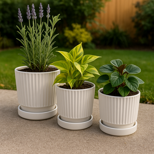 Set 3 Maceteros Maceta De Cerámica Blancos Diseños Lineas