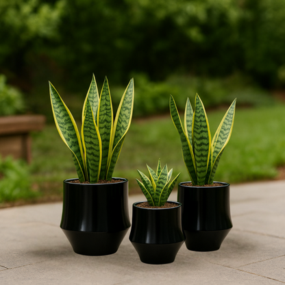 Set 3 Maceteros Maceta De Ceramica Elegante Negro Liso