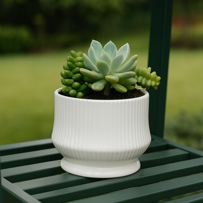 png_1500x1500_65821080