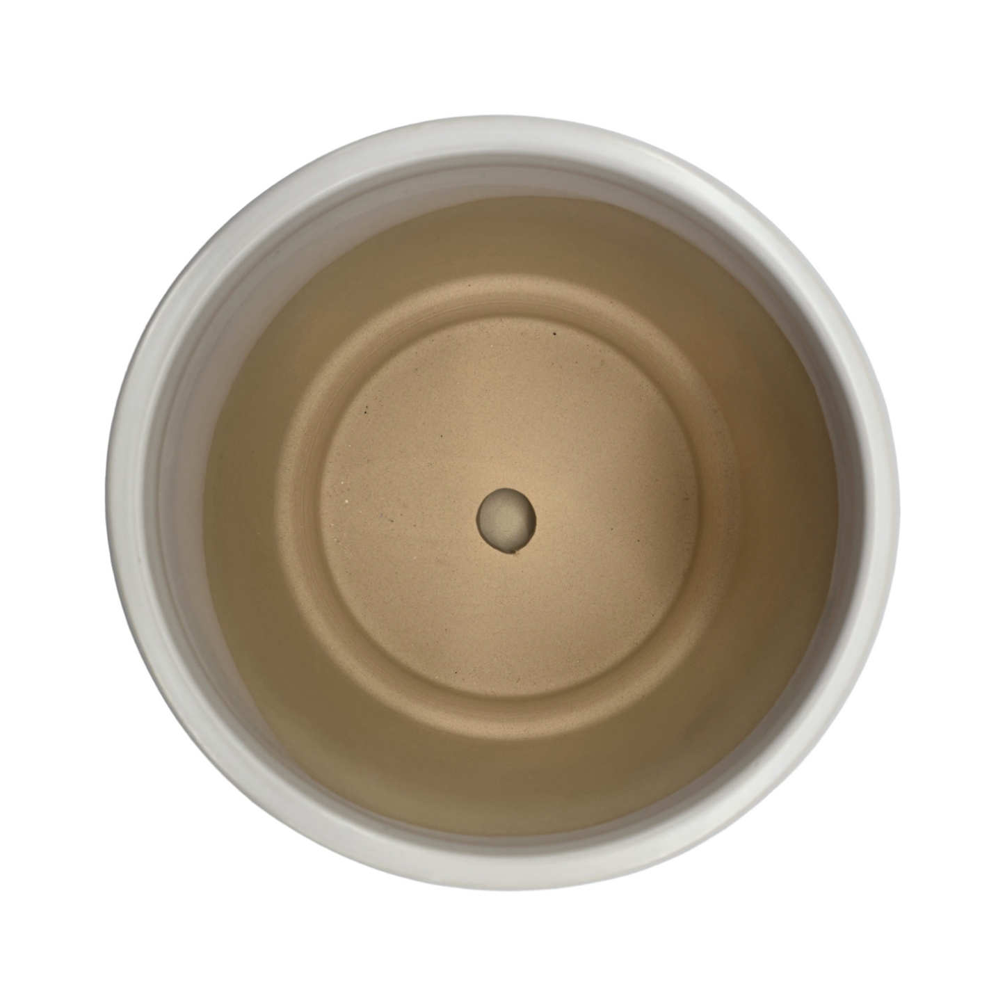 png_1500x1500_60126443