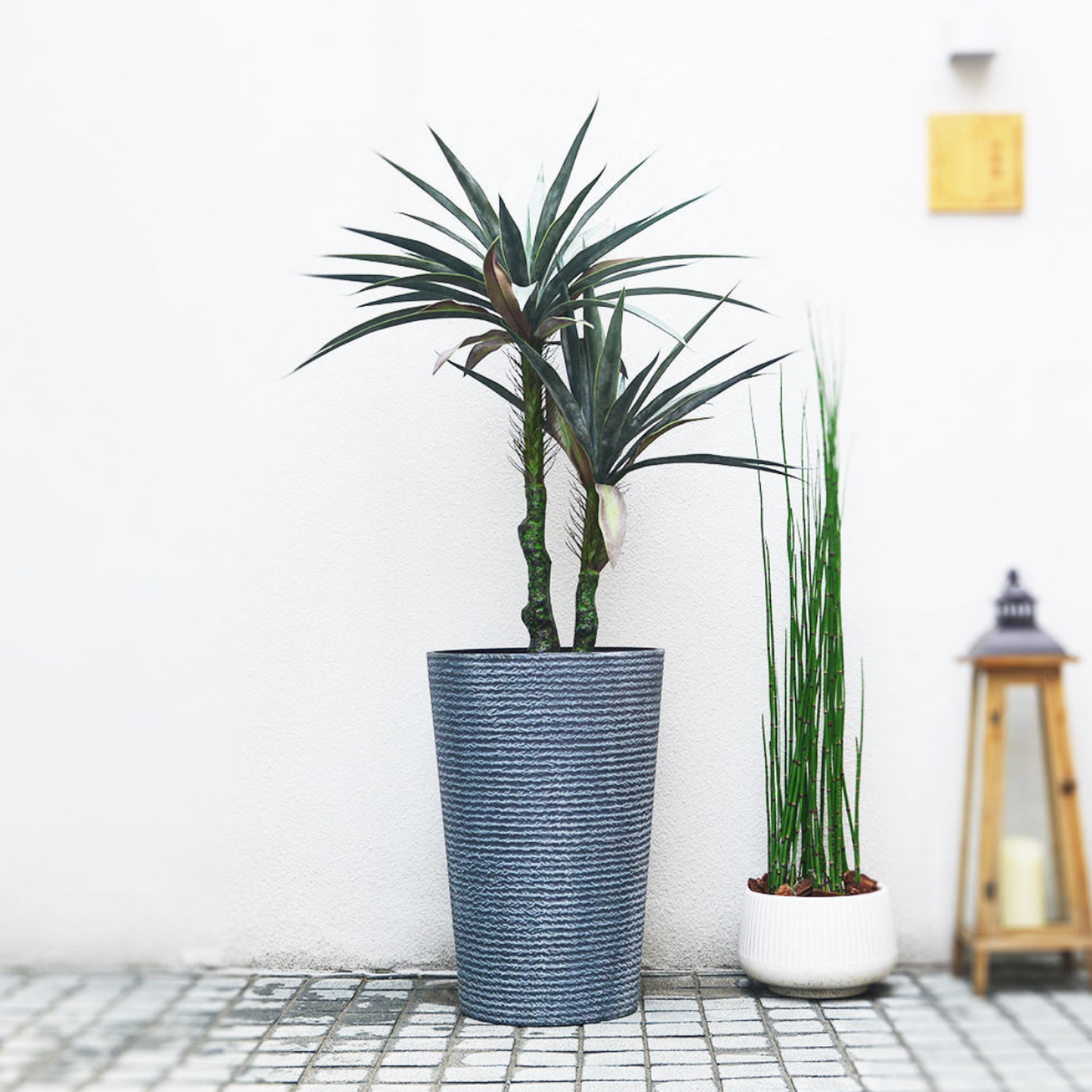 png_1500x1500_65257784