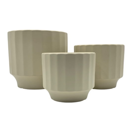 png_1500x1500_61880121