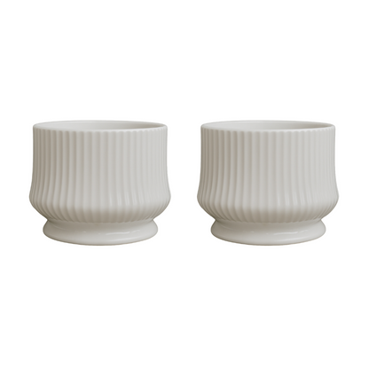 png_1500x1500_65821088