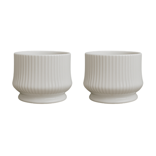 png_1500x1500_65821088