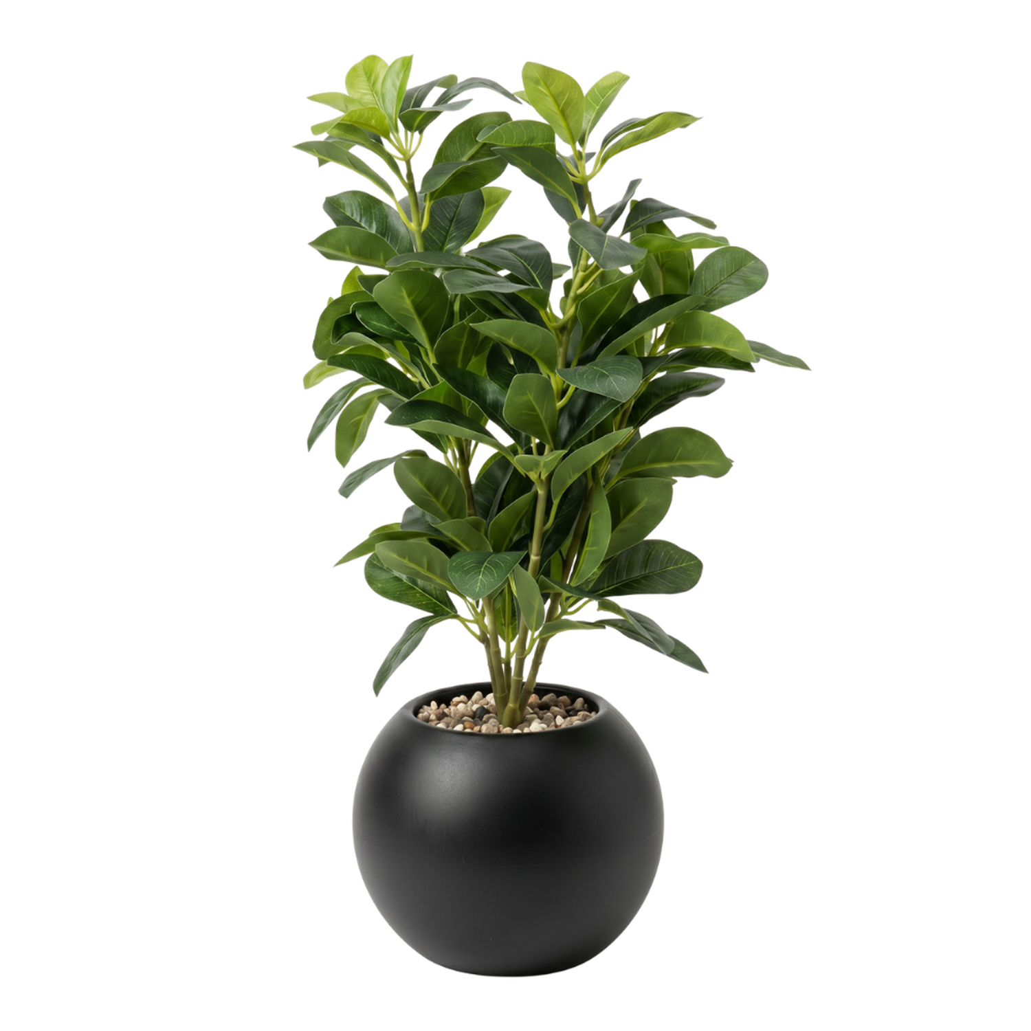 png_1500x1500_71501070