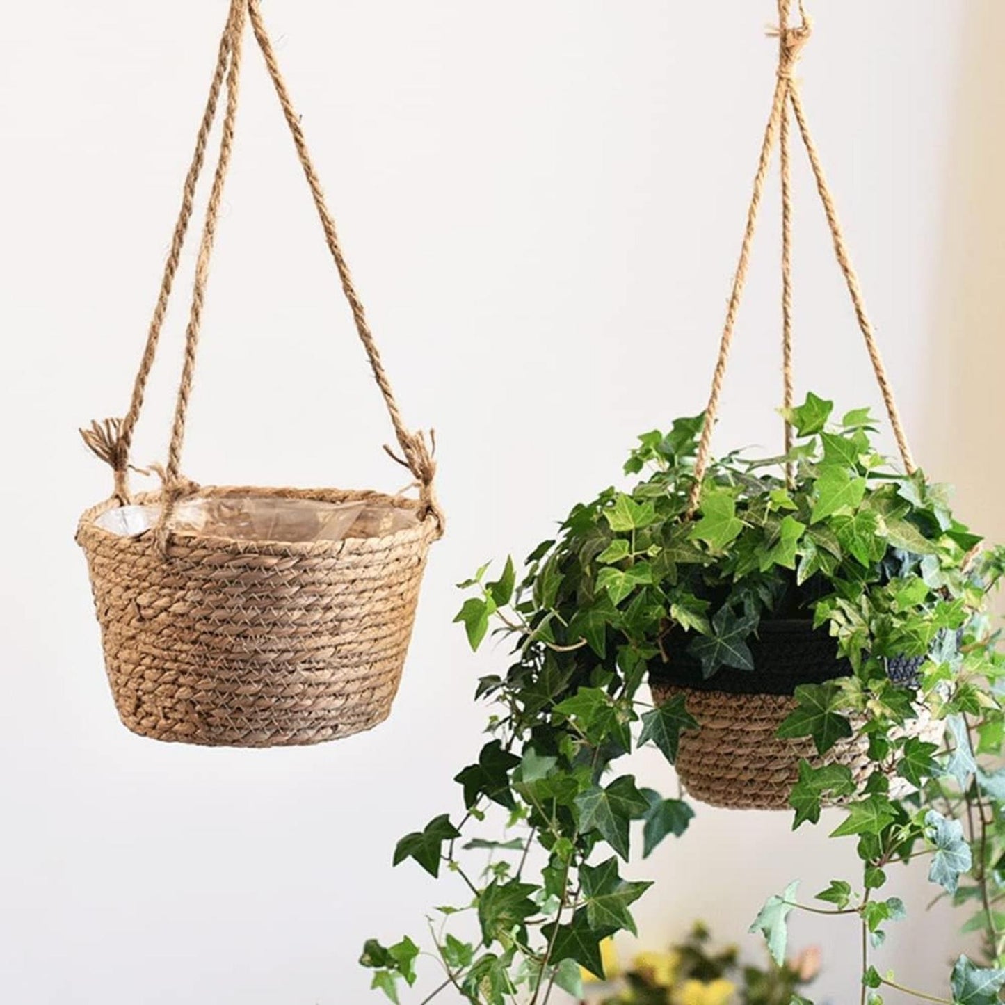 jpg_1500x1500_56922991