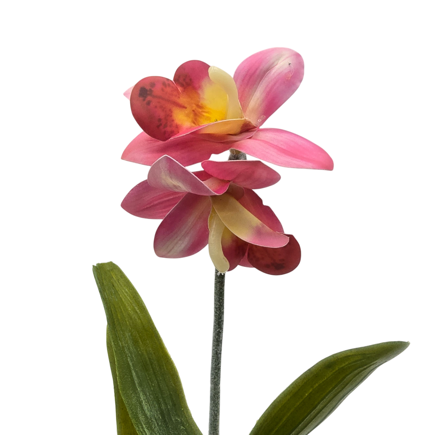 png_1500x1500_61881911