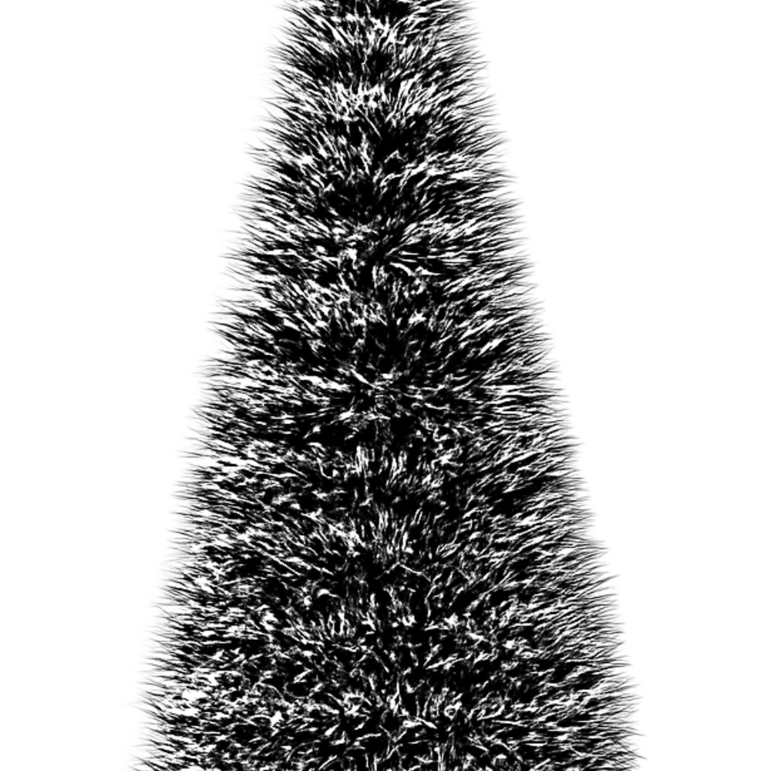 png_1500x1500_66000738