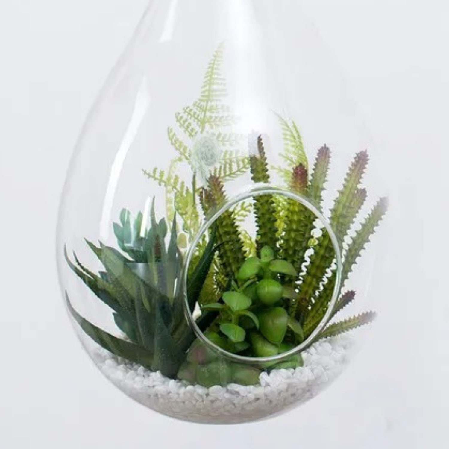 png_1500x1500_61903463