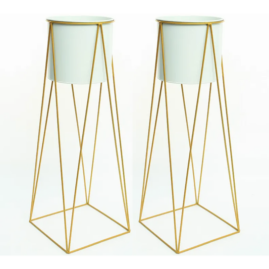 png_1500x1500_59720338