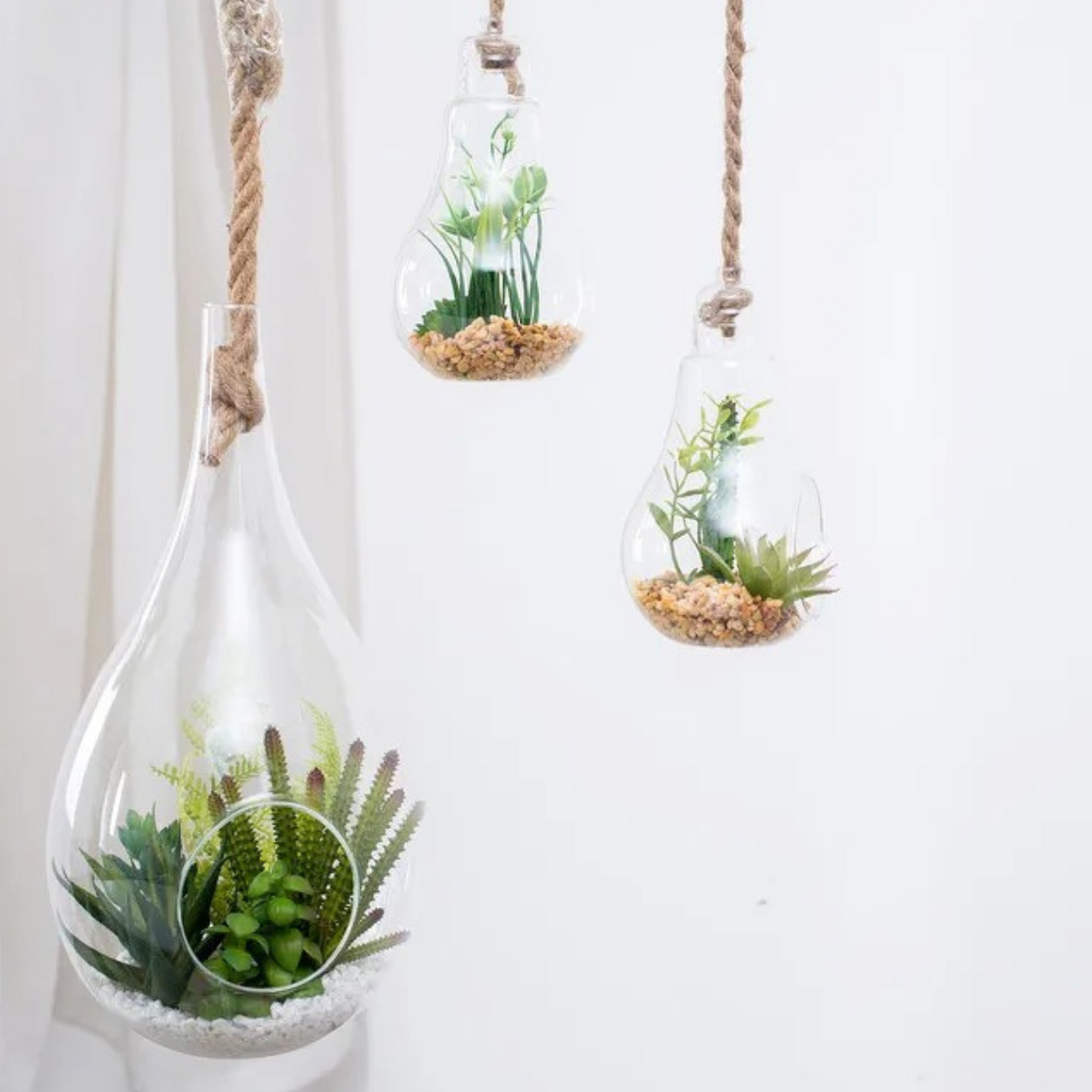 png_1500x1500_61903462