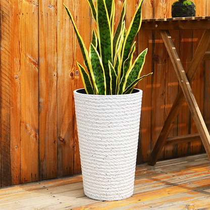 png_1500x1500_65257838