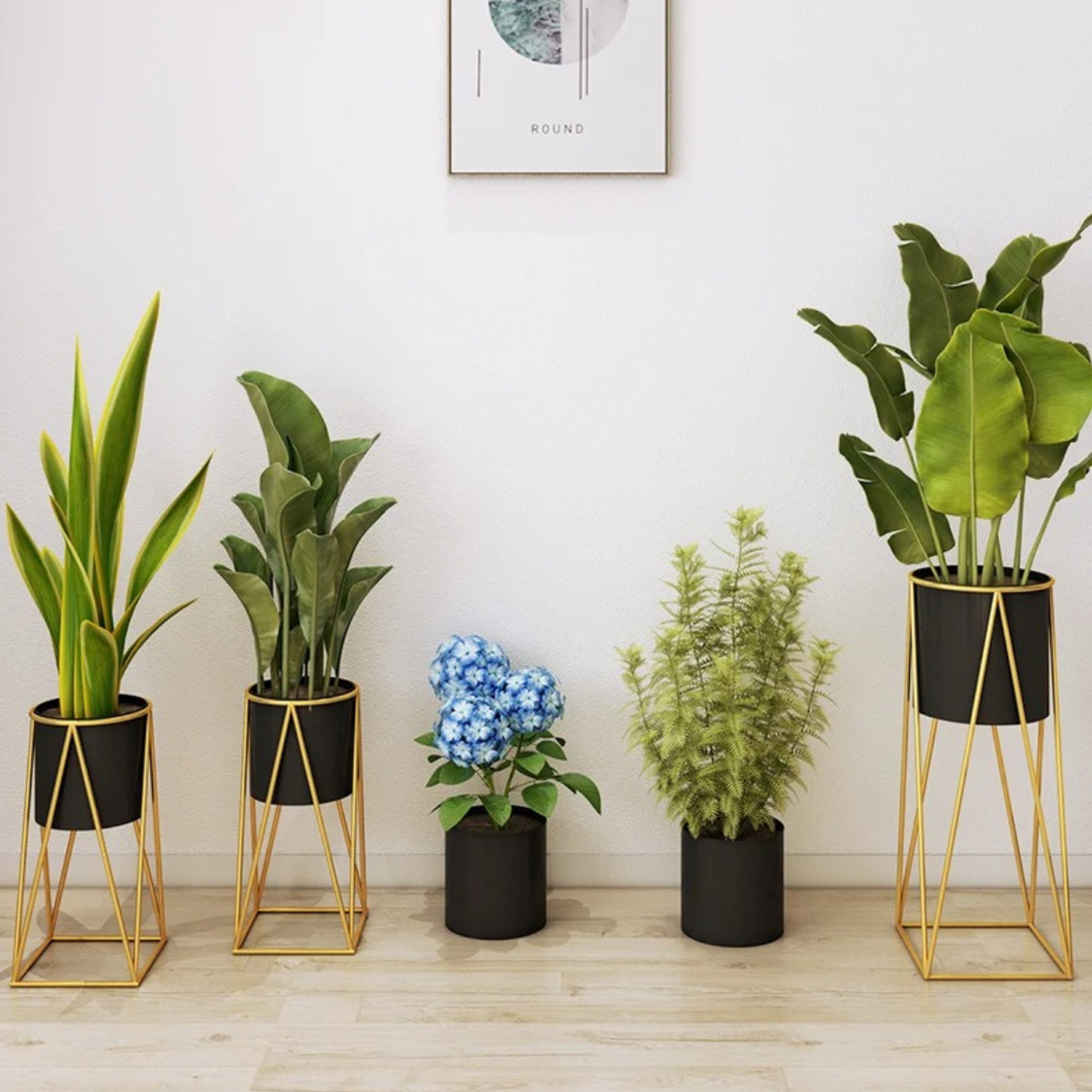 png_1500x1500_59737266