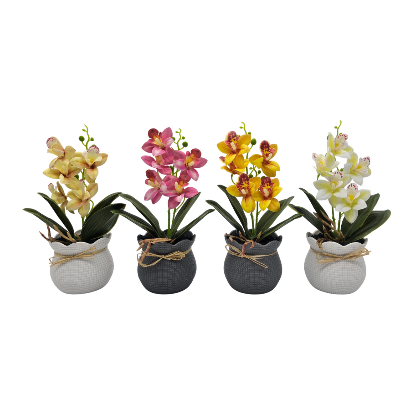png_1500x1500_61913165