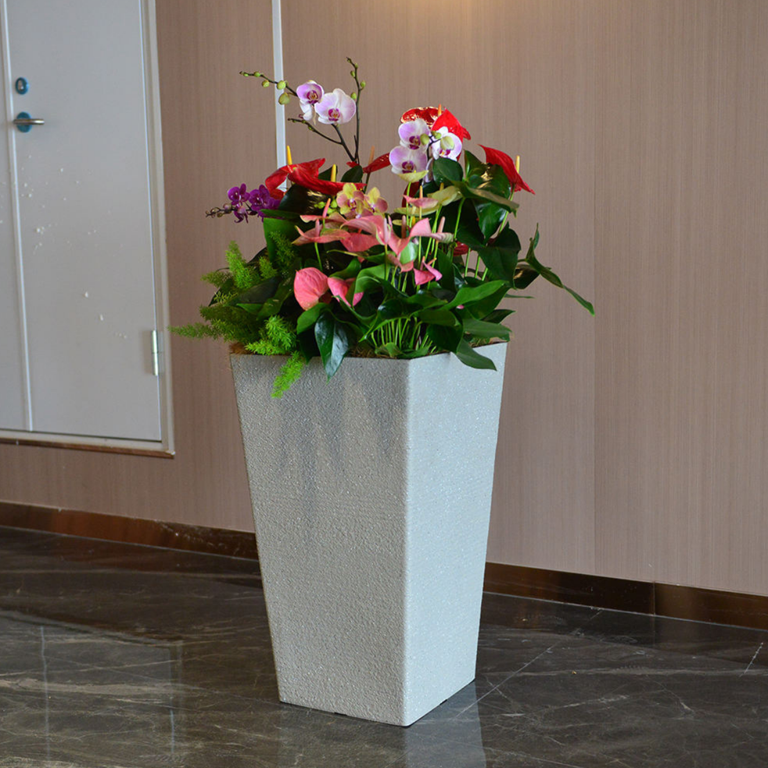 png_1500x1500_61901380