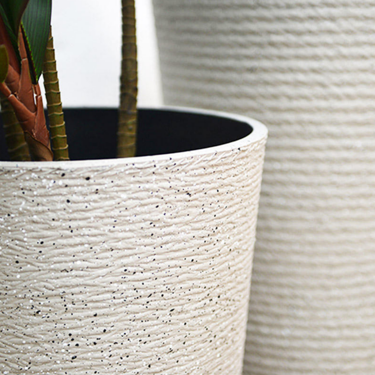 png_1500x1500_65257847